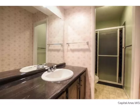 2913 Clifton Dr, Springfield, IL 62704 photo 23