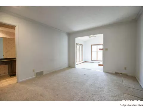 2913 Clifton Dr, Springfield, IL 62704 photo 22