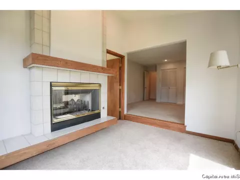 2913 Clifton Dr, Springfield, IL 62704 photo 20