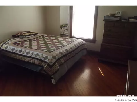 10254 Davis St, Tallula, IL 62688 photo 17