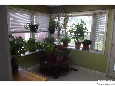 10254 Davis St, Tallula, IL 62688 photo 13