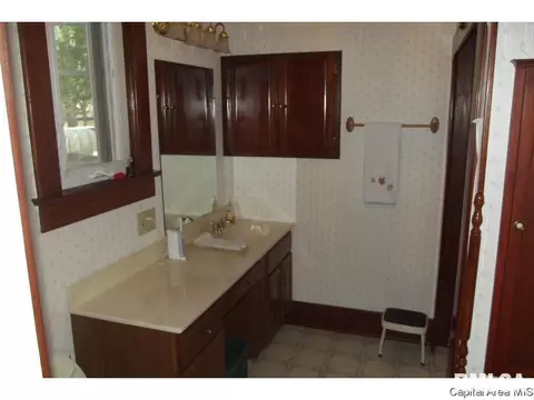 10254 Davis St, Tallula, IL 62688 photo 26