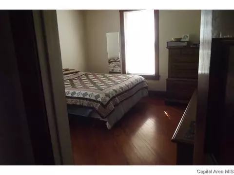 10254 Davis St, Tallula, IL 62688 photo 27
