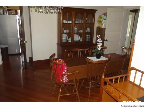 10254 Davis St, Tallula, IL 62688 photo 24