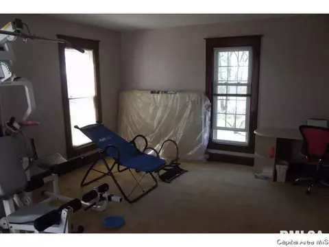 10254 Davis St, Tallula, IL 62688 photo 20