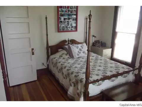 10254 Davis St, Tallula, IL 62688 photo 21