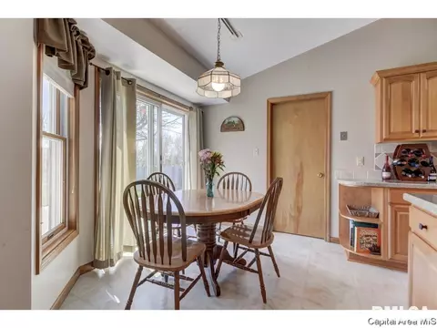 1112 Harmony Ct, Springfield, IL 62703 photo 16