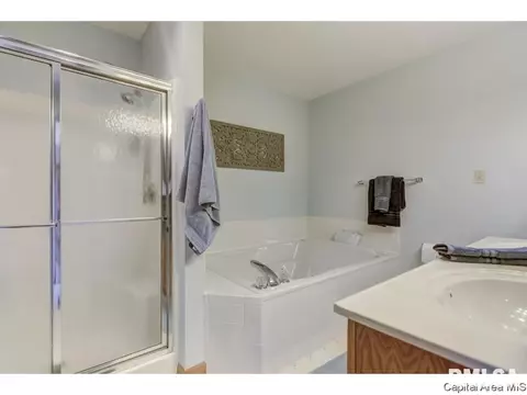 1112 Harmony Ct, Springfield, IL 62703 photo 22