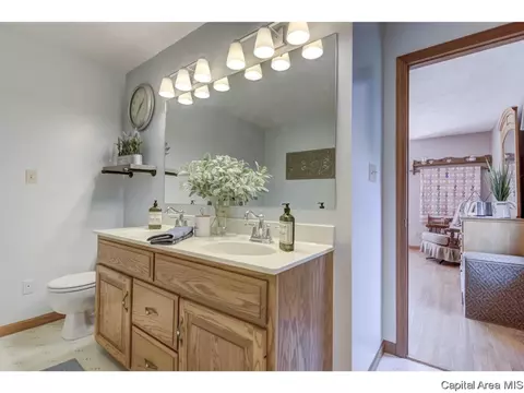 1112 Harmony Ct, Springfield, IL 62703 photo 23