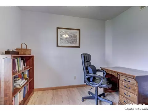 1112 Harmony Ct, Springfield, IL 62703 photo 26