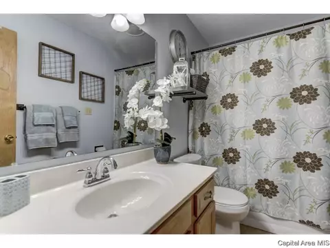 1112 Harmony Ct, Springfield, IL 62703 photo 28