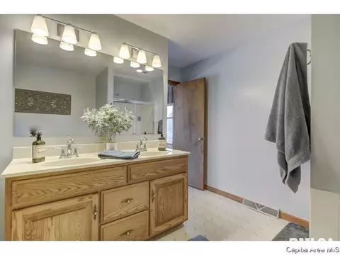 1112 Harmony Ct, Springfield, IL 62703 photo 24