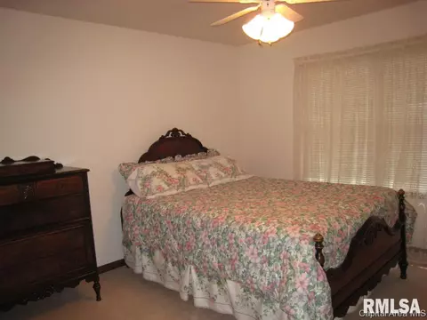 3921 Eagle Wing Rd, Springfield, IL 62711 photo 20