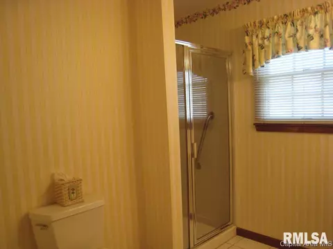 3921 Eagle Wing Rd, Springfield, IL 62711 photo 19