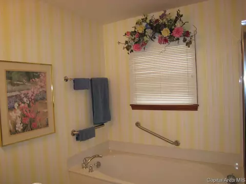 3921 Eagle Wing Rd, Springfield, IL 62711 photo 13