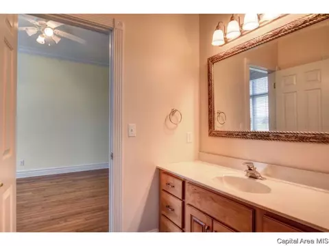 4601 Blackwolf Rd, Springfield, IL 62711 photo 16