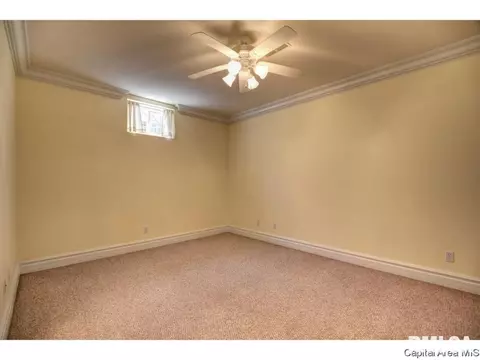 4601 Blackwolf Rd, Springfield, IL 62711 photo 30