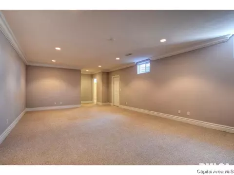 4601 Blackwolf Rd, Springfield, IL 62711 photo 27