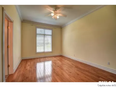 4601 Blackwolf Rd, Springfield, IL 62711 photo 22