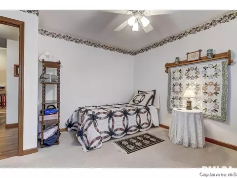 6320 Hayley Ct, Springfield, IL 62712 photo 26