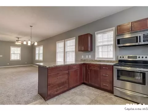 1717 Dial Ct, Springfield, IL 62704 photo 3