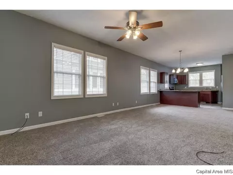 1717 Dial Ct, Springfield, IL 62704 photo 9