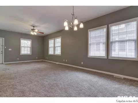 1717 Dial Ct, Springfield, IL 62704 photo 12