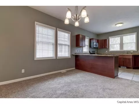 1717 Dial Ct, Springfield, IL 62704 photo 6