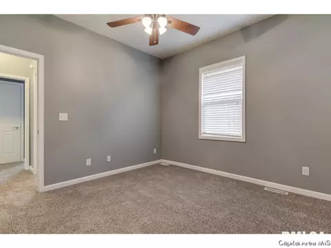 1717 Dial Ct, Springfield, IL 62704 photo 20