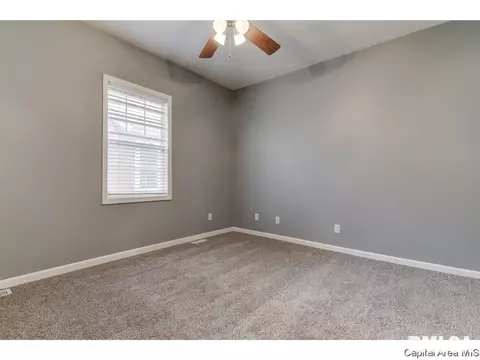 1717 Dial Ct, Springfield, IL 62704 photo 17