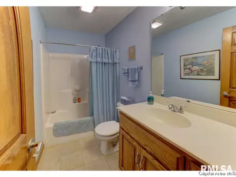 2004 Appleton Dr, Springfield, IL 62711 photo 13