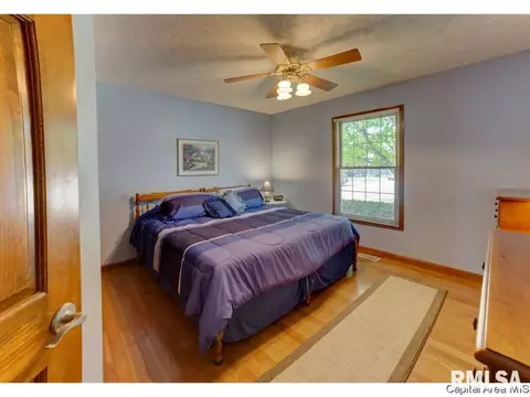 2004 Appleton Dr, Springfield, IL 62711 photo 14