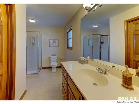 2004 Appleton Dr, Springfield, IL 62711 photo 12