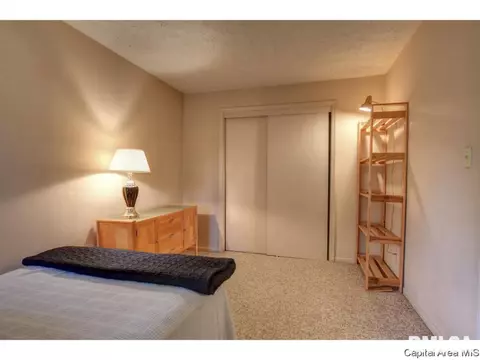 2009 S 5th St, Springfield, IL 62703 photo 24