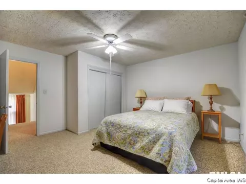 2009 S 5th St, Springfield, IL 62703 photo 20