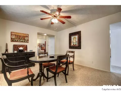 2009 S 5th St, Springfield, IL 62703 photo 9