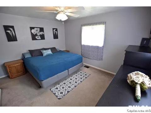 2223 Grant, Springfield, IL 62703 photo 16
