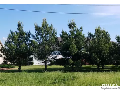 3821 Sugar Loaf Dr, Springfield, IL 62711 photo 4