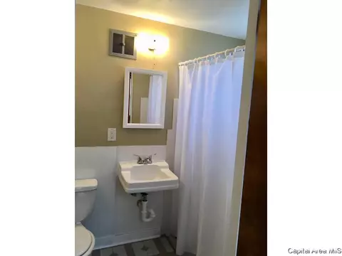 1112 N 8th St, Springfield, IL 62702 photo 30