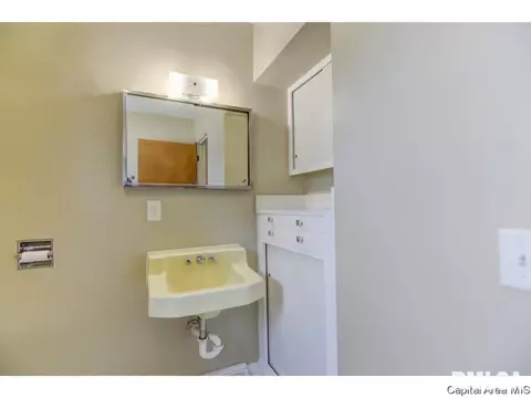 1112 N 8th St, Springfield, IL 62702 photo 29