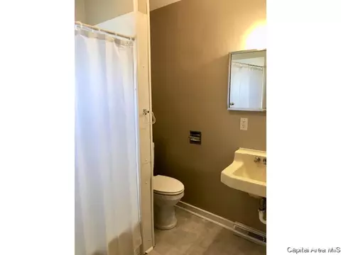 1112 N 8th St, Springfield, IL 62702 photo 28