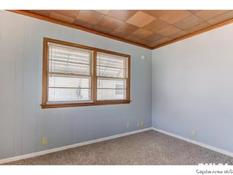 1112 N 8th St, Springfield, IL 62702 photo 18