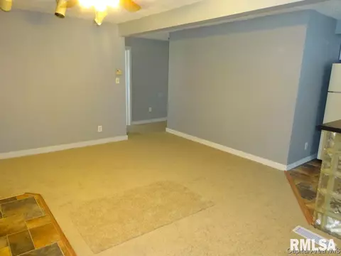 1409 Enterprise St, Springfield, IL 62702 photo 11