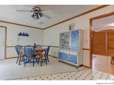 228 Tulip, Springfield, IL 62707 photo 10
