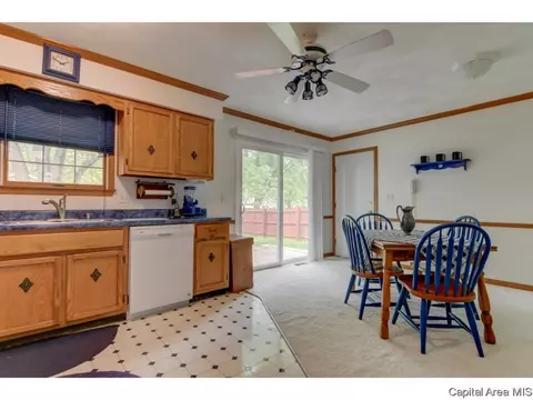 228 Tulip, Springfield, IL 62707 photo 9