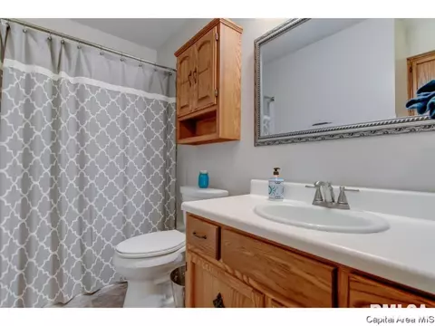 228 Tulip, Springfield, IL 62707 photo 12