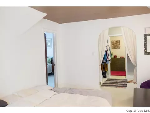 1336 Dial Ct, Springfield, IL 62704 photo 19