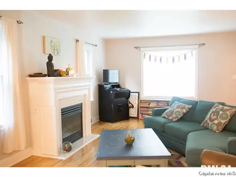 1336 Dial Ct, Springfield, IL 62704 photo 7