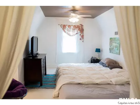 1336 Dial Ct, Springfield, IL 62704 photo 18