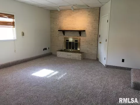 701 E Chestnut St, Chatham, IL 62629 photo 9